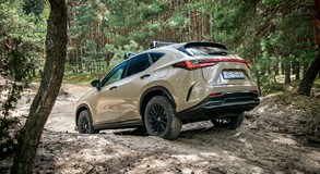 Lexus NX 2022