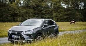 Lexus NX 300h - local